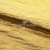 Текстильный материал "Диско"#1805 с покрытием РЕТ, 40гр/м2, 100% полиэстер, цв.5-золото - купить в Коврове. Цена 412.36 руб.