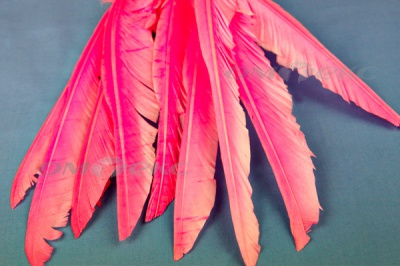 Декоративный Пучок из перьев, перо 25см/розовый - купить в Коврове. Цена: 14.40 руб.