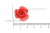Украшение "Розы малые №1" 20мм - купить в Коврове. Цена: 32.49 руб.