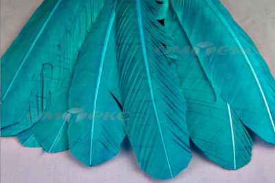 Декоративный Пучок из перьев, перо 24см/голубой - купить в Коврове. Цена: 12.19 руб.