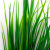 Трава искусственная -2, шт (осока 41см/8 см)				 - купить в Коврове. Цена: 104.57 руб.