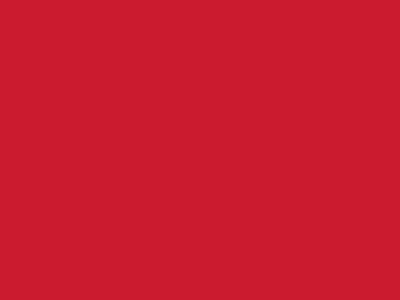 Сетка подкладочная красный, 60г/м2 (10 м/кг) - купить в Коврове. Цена 894.77 руб.