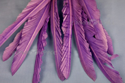Декоративный Пучок из перьев, перо 25см/фиолетовый - купить в Коврове. Цена: 12.19 руб.