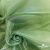 Ткань органза, 100% полиэстр, 28г/м2, шир. 150 см, цв. #27 зеленый - купить в Коврове. Цена 86.24 руб.