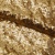 Сетка с пайетками №3, 188 гр/м2, шир.140см, цвет золотой - купить в Коврове. Цена 458.76 руб.
