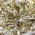 Трикотажное полотно, Сетка с пайетками, шир.130 см, #315, цв.-белый/золото - купить в Коврове. Цена 693.39 руб.