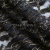 Кружевное полотно XD LACE 1-4, 80 гр/м2, шир.150см, цвет чёрный - купить в Коврове. Цена 248.45 руб.